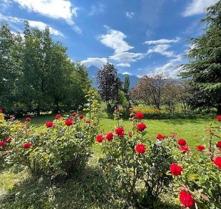 La Vigna Bed & Breakfast Aosta Dış mekan fotoğraf